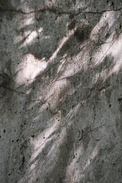 istock Abstract background of shadow on concrete wall. Old gray cement wall, sunlight and tree shade. 1323971815