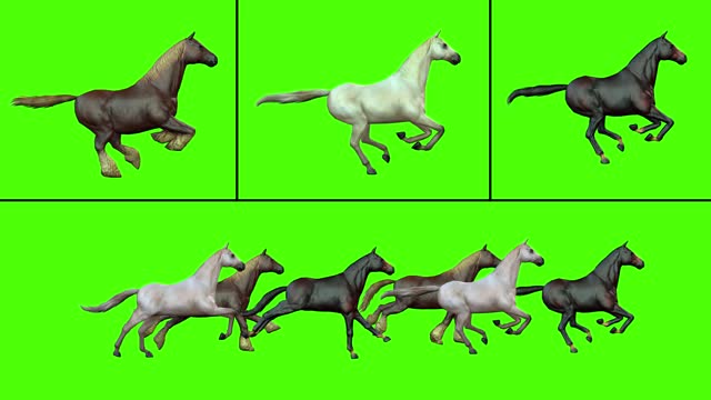 1,046 Horse Running Animation Stock Videos and Royalty-Free Footage - iStock