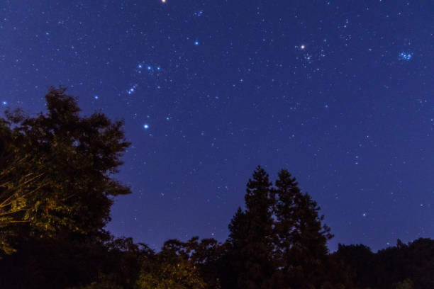 istock Starry night sky from around  the mountain peak at Chichibu 1323974009