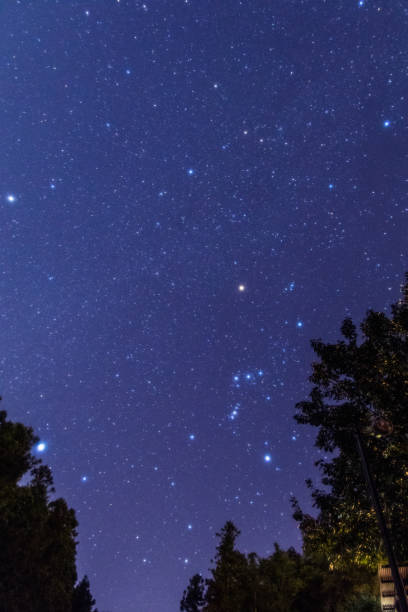 istock Starry night sky from around  the mountain peak at Chichibu 1323974521