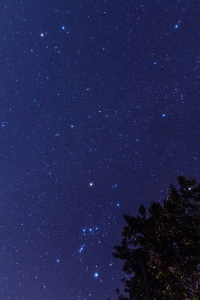 istock Starry night sky from around  the mountain peak at Chichibu 1323974525