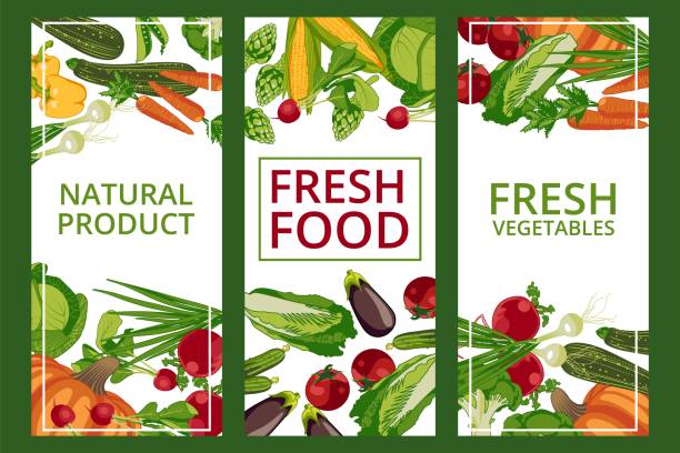 Fresh food card templates set Fresh food card templates set. Organic healthy vegetables and products. Natural eco friendly food store, market, packaging and advertising banner design flat vector illustration supermarket borders stock illustrations