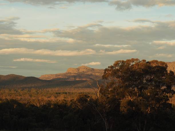 istock Landscape in Australia 1323982738