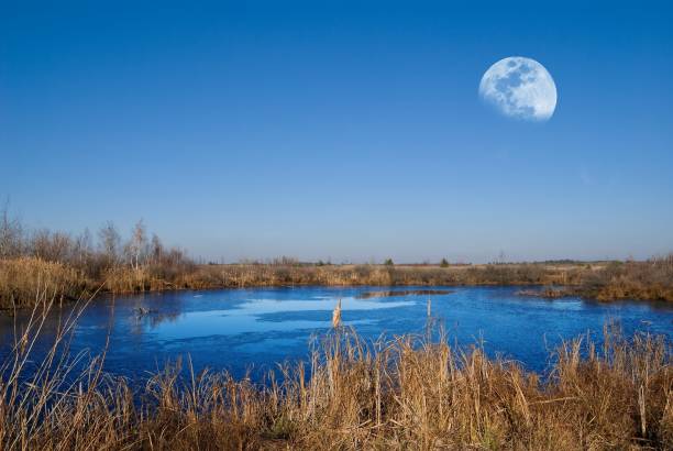 alf luna sobre un lago congelado - frozen cold lake reed fotografías e imágenes de stock
