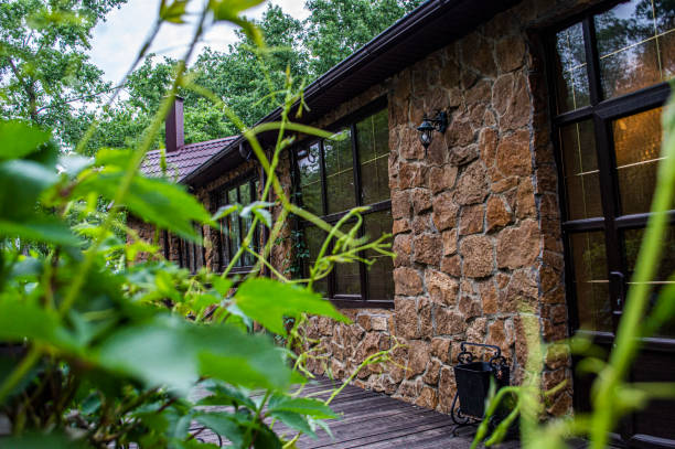 istock Wild grapes on summer veranda 1323988283
