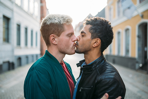 Portrait of affectionate gay couple in Scandinavia