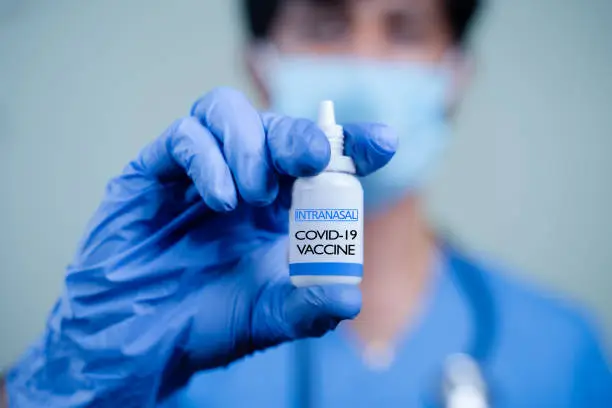 Close up Hands of Doctor or nurse holding Intranasal vaccine spray bottle for coronavirus or covid-19 pandemic.