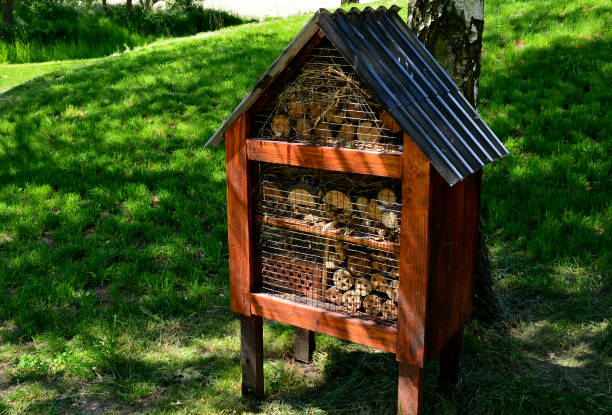 insect hotel for nesting wild insects which needs irregular chambers which in the city there is a lack of pieces of brick perforated wood reeds and sticks stacked in a box covered with mesh