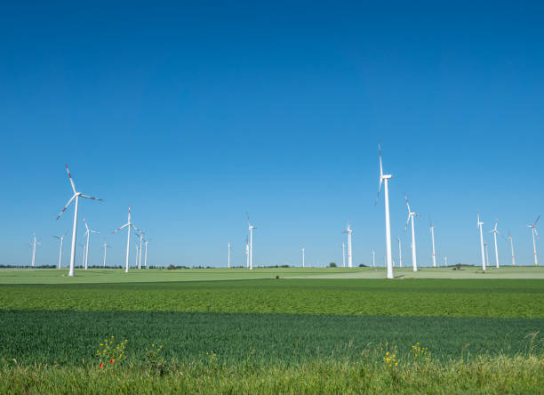 istock Wind farm in a field in summer 1323995158