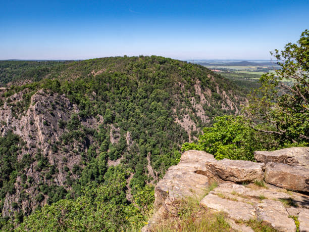 istock View of the Harz National Park 1323995179