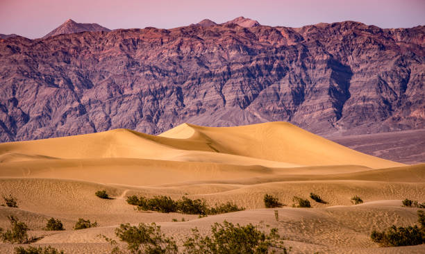 istock desert, death valley, california, usa 1323996909