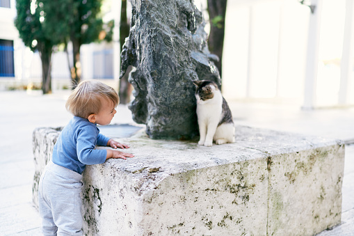 Kid stands near the sculpture on which the cat sits. High quality photo