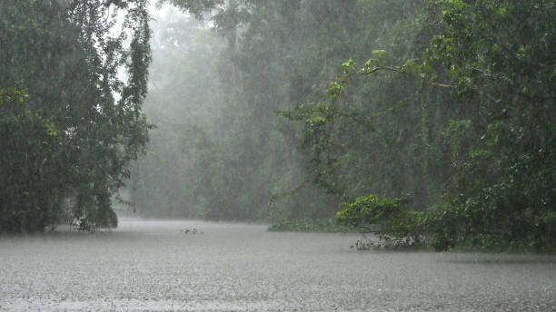 istock Kinabatangan River, Malaysia 1323998885