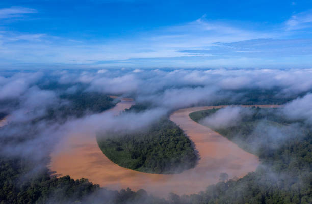 Kinabatangan River, Malaysia Kinabatangan River, Sabah Malaysia kinabatangan river stock pictures, royalty-free photos & images