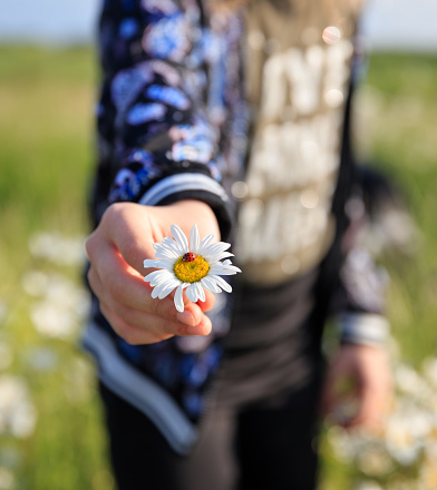 Close up woman hand touching little flower in nature forest background. Happy woman holding little flower and smell. Breathing the fresh air on her vacation weekend holiday trip. Human and natural.