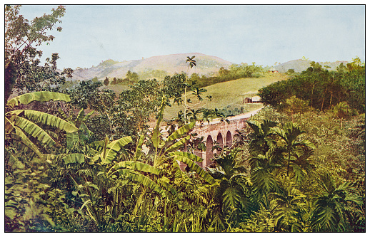 Antique color photograph: Near Caguas, Puerto Rico
