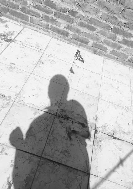 istock Butterfly, the photographer and both shadow in single frame 1324005738