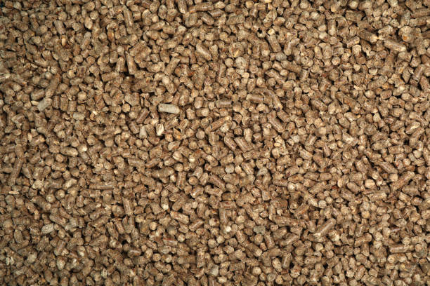 istock Wood pellet cat litter as background, closeup 1324007620