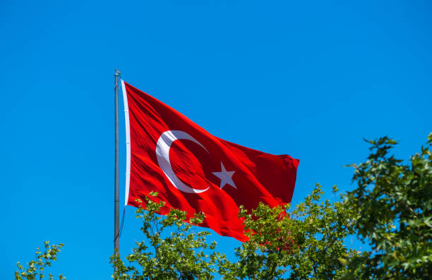 istock Turkish flag waving in the blue sky, among the trees, flagpole, 1324008351