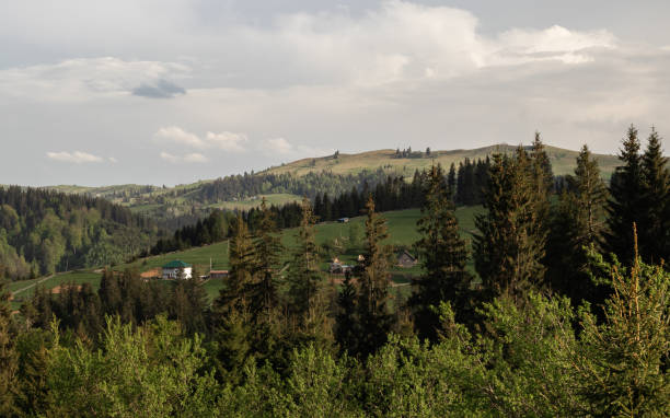 istock Village in the Carpathian mountains 1324009234