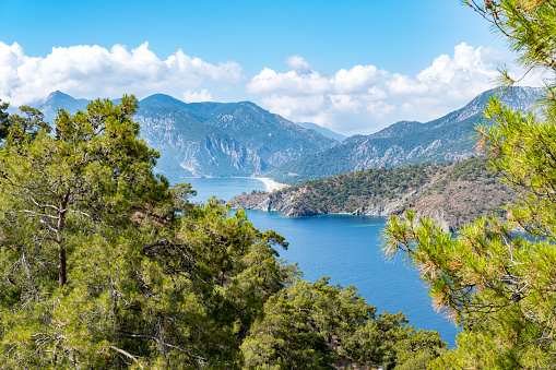 Forest, sea, bays and mountains are intertwined together. Landscape photo