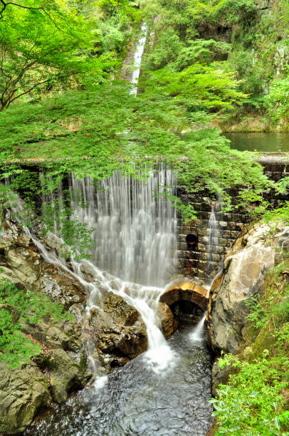 kobe les trois grands dieux du japon tombent nunobiki falls mentaki - chutes de nunobiki photos et images de collection
