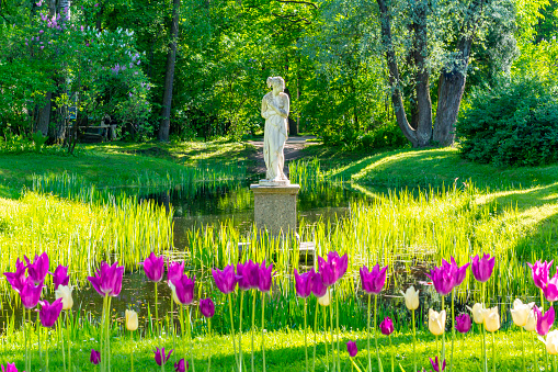 Saint Petersburg, Russia - June 2021: Sculpture of Venus Italian in Pavlovsky park, Pavlovsk