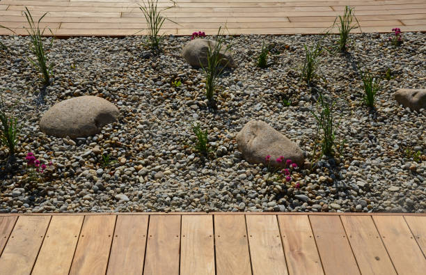 灰色の花崗岩で作られた多年生と石を持つ観賞用の花壇、街の庭のマルチ小石、大草原、装飾草、プールのそばのテラス - pebble water gray silver ストックフォトと画像