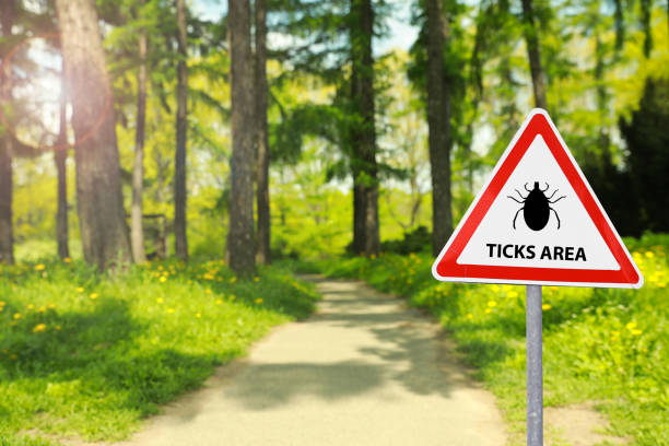 istock Warning sign Beware of ticks in forest on sunny day 1324013915