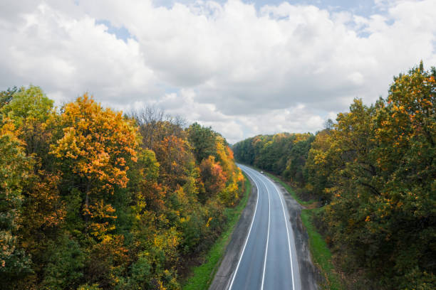 istock Aerial view of road going through beautiful autumn forest 1324014199