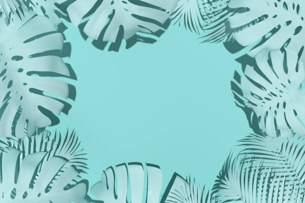 istock Top view of tropical leaf with copy space, Palm leaf, Mostera leaf. 3D rendering 1324015513