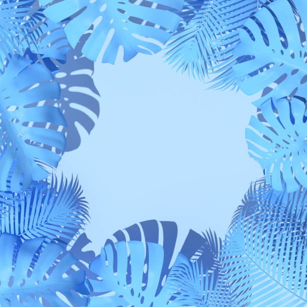 istock Top view of tropical leaf with copy space, Palm leaf, Mostera leaf. 3D rendering 1324015518
