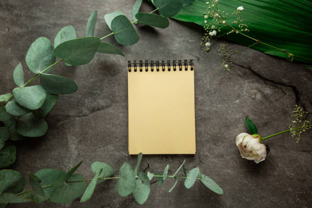 istock blank spiral notebook with place for text on gray background with plant leaves and eucalyptus sprig. view from above 1324022118