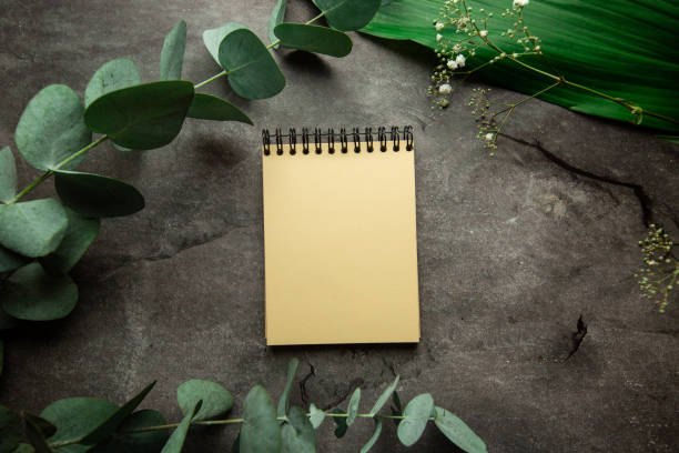istock blank spiral notebook with place for text on gray background with plant leaves and eucalyptus sprig. view from above 1324022139
