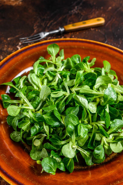 istock Fresh green corn salad leaves on a rustic plate. Dark background. Top view 1324022280