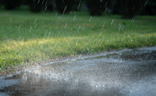 istock Rain in the summer park. Raindrops fall on the paved path. 1324024117