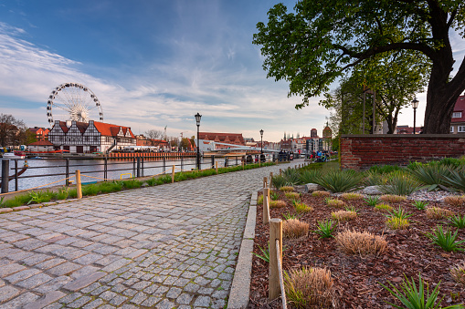 Spring scenery with blooming flowers in the main city of Gdansk. Poland