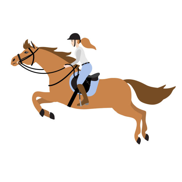 illustrazioni stock, clip art, cartoni animati e icone di tendenza di vettore colorato disegnato a mano piatto cartoon ragazza donna a cavallo spettacolo saltare cavallo - horse child pony little girls