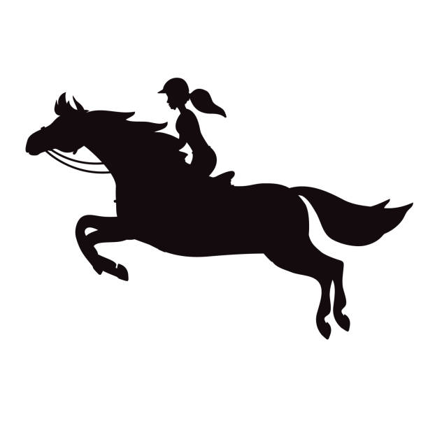ilustrações de stock, clip art, desenhos animados e ícones de vector hand drawn flat girl woman riding show jumping horse silhouette - hurdling hurdle vector silhouette