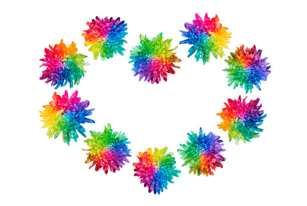 istock Heart shape made of colored chrysanthemums isolated on a white background. 1324026334
