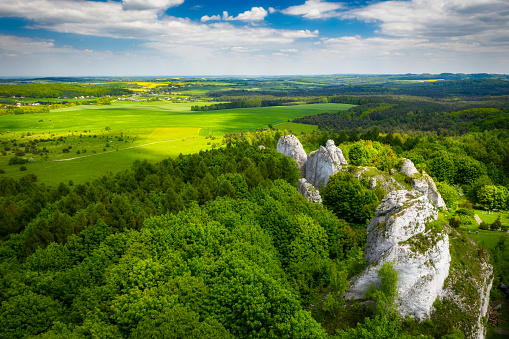 Beautiful landscape of the Polish Jurassic Highland at summer, Poland