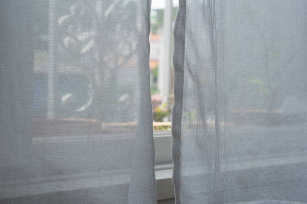 istock Lace curtain, some plants, and balcony. 1324028194