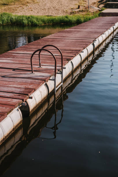 istock Dock with ladder over lake 1324029562