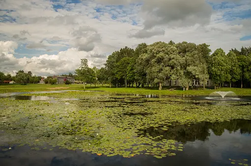 Priekule Photos Télécharger des images gratuites sur Unsplash