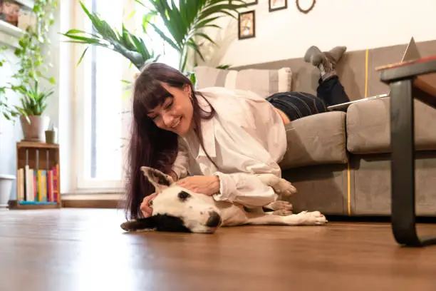 Woman plays with her dog at home