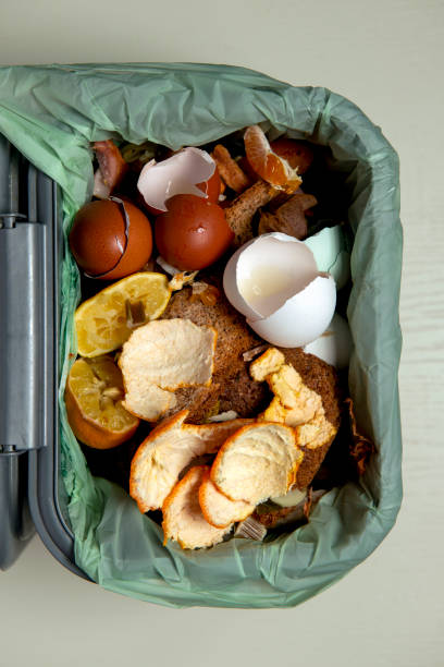 istock Bin full of rubbish. 1324044697