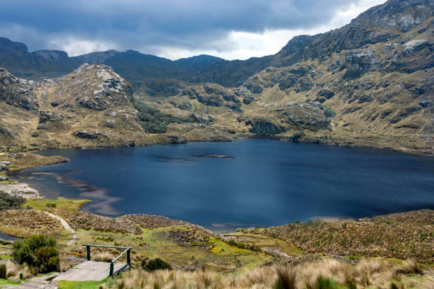 istock The Cajas National Park - Ecuador 1324044745