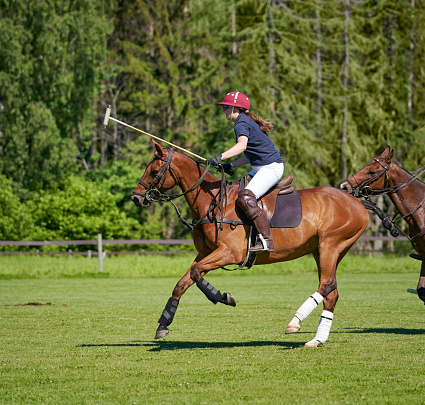 Polo pony in full action during training with happy young rider in polo outfit.