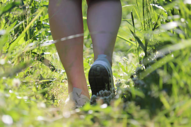 istock Girl running on a summer field, view through the grass in sunlight 1324049833