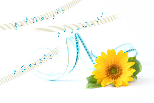 istock sun flower and music 1324051608